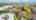 Blurred preview of media: 83
