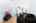 Blurred preview of media: 1-726-2356