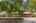 Blurred preview of media: 1-3