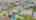 Blurred preview of media: DJI_20260326121403_0102_D