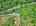 Blurred preview of media: DJI_20260604124917_0361_D_2_D_3_D_easyHDR