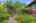 Blurred preview of media: 32
