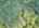 Blurred preview of media: DJI_20260829133820_0288_D_89_D_90_D_easyHDR