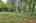 Blurred preview of media: IMG_1045_6_7_easyHDR