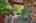 Blurred preview of media: 31