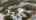 Blurred preview of media: Aberdean-22