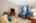 Blurred preview of media: 17