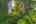 Blurred preview of media: iPixx_00_9