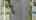Blurred preview of media: DJI_0170