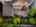 Blurred preview of media: 1-68