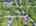 Blurred preview of media: DJI_20260804135003_0976_D_7_D_8_D_easyHDR