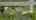 Blurred preview of media: 7