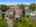 Blurred preview of media: DJI_20250606154948_0020_D