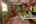 Blurred preview of media: IMG_3237_8_9