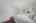 Blurred preview of media: DSC03391