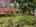 Blurred preview of media: 260105D-03