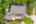 Blurred preview of media: 20250808L_lg_JW0004