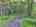 Blurred preview of media: DJI_20260829133712_0279_D_80_D_81_D_easyHDR