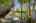 Blurred preview of media: 20250908L_lg_JW0072