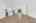 Blurred preview of media: DSC09580