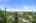 Blurred preview of media: DSC06519