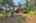 Blurred preview of media: IMG_4571_2_3_easyHDR