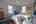 Blurred preview of media: IMG_8470_1_2