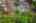 Blurred preview of media: Aerial 04