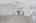 Blurred preview of media: 201 Quail Fritch-12
