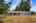Blurred preview of media: 1-24