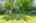 Blurred preview of media: 420 Upper Gage Ave, Hamilton _ JON MACHADO61