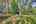 Blurred preview of media: IMG_3081_2_3_easyHDR