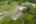 Blurred preview of media: 86 Oak Hill Rd_MLS (069 of 071)