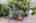 Blurred preview of media: iPixx_01_161
