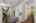 Blurred preview of media: 12212 Forest Way 00019