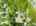 Blurred preview of media: 3-826-