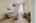 Blurred preview of media: VirtuallyStaged-SittingRoomEdit