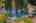 Blurred preview of media: Aerial 11
