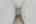 Blurred preview of media: 7845 Pipit Ave-14