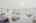 Blurred preview of media: 2bobwhite_018