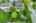 Blurred preview of media: 005