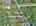 Blurred preview of media: DJI_20260804134444_0940_D_1_D_2_D_easyHDR