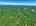 Blurred preview of media: DJI_20260613114424_0758_D_59_D_60_D_easyHDR