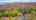 Blurred preview of media: 75