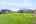 Blurred preview of media: 1801 Broadoak -45