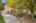 Blurred preview of media: 1-1