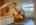 Blurred preview of media: IMG_8733 copy