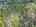 Blurred preview of media: DJI_20260505134519_0862_D_3_D_4_D_easyHDR