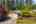 Blurred preview of media: 1-1