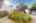 Blurred preview of media: iPixx_01_110